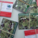 AIS watch cards and other educational materials are available at the Boat Steward stations. Photo courtesy of OPRHP.