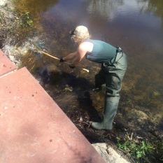 State Parks staff clearing a site for a pond-leveling device at Fahnestock State Park, photo by Lilly Schelling