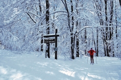 Skiing in a winter wonderland, photo by State Parks