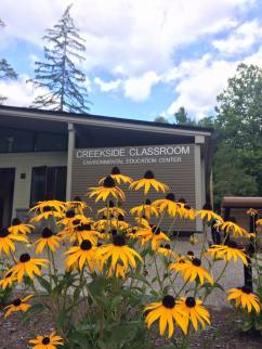 Pollinator garden in Saratoga Spa State Park