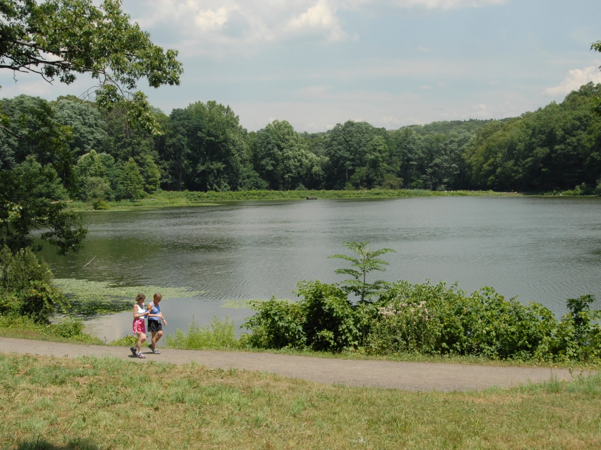 Get out and explore … the Taconic Region of State parks