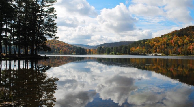 Get Out and Explore … The Allegany Region of New York state Parks