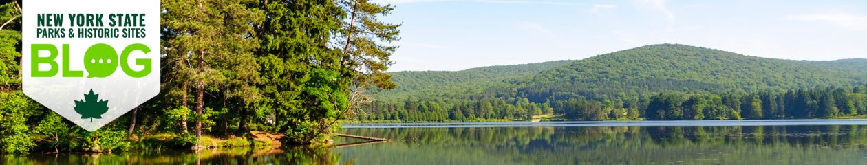 New York State Parks and Historic Sites Blog